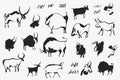 Hand drawn cave animals bulls. The symbol of the Chinese New Year. Collection. Vector