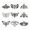 Hand drawn celestial moth collection.