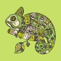 Hand drawn chameleon