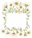 Hand drawn Chamomile Clipart, Watercolor Vintage Daisy Wreath Clip art, Rustic Meadow Floral Bouquet, Wildflowers Frame, Wedding