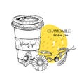 Hand drawn chamomile herbal tea to go. Tea cup, daisy flower. Vectror engraved art. Healing warm tea in paper cup. Food