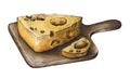 Hand-drawn cheese dairy product