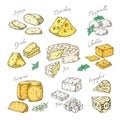 Hand drawn cheese. Doodle appetizers and food slices, different cheese types Parmesan, brie cheddar feta. Vector sketch