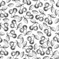 Hand drawn cherries seamless pattern - monochromic berries background Royalty Free Stock Photo