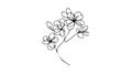 Hand drawn cherry blossom. Sakura branch with flower one continuous line art. Blooming Apple tree Vector illustration Royalty Free Stock Photo