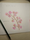 Hand drawn cherry blossoms Royalty Free Stock Photo