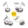 Hand drawn cherry set on white background. Royalty Free Stock Photo