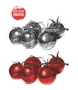 Hand drawn cherry tomatoes Royalty Free Stock Photo