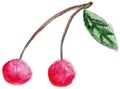 Hand-drawn cherry twig with two pink berries and one green leaf Royalty Free Stock Photo