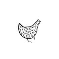 Hand drawn chicken