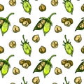 Hand drawn chickpeas pods and beans seamless pattern. Colorful botany vector illustration in sketch style