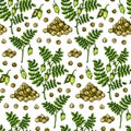 Hand drawn chickpeas seamless pattern. Vector illustration in colored sketch style