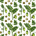 Hand drawn chickpeas seamless pattern. Vector illustration in colored sketch style