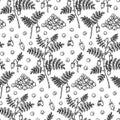 Hand drawn chickpeas seamless pattern. Vector illustration in sketch style