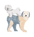 Hand-drawn childish illustration with two dogs standing on top of each other in Scandinavian flat cartoon style isolated