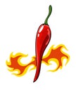 Hand drawn chili pepper. Super hot red chilli pepper in fire. Chili pepper in flame on white background. Natural healthy Royalty Free Stock Photo