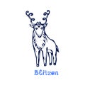 Hand drawn Christmas deer Blitzen