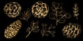 Hand drawn Christmas plants. Gold pine branch, fir, eucalyptus isolated on black background.