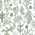 Christmas plants set. Vector seamless pattern