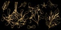 Hand drawn Christmas plants.Set of mistletoe branch isolated on black background