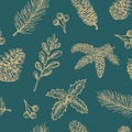 Hand Drawn Christmas Vector Seamless Background Pattern. Fir-needle Branch, Strobile, Holly and Mistletoe Sketches Card