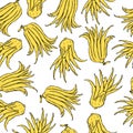 Hand drawn Citron Buddh`s hand fruit . Vector  pattern Royalty Free Stock Photo