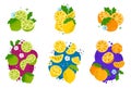 Hand-drawn Citrus Compositions Vector Set. Orange, Lemon, and Lime Fruits Royalty Free Stock Photo