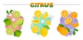 Hand-drawn Citrus Compositions Vector Set. Orange, Lemon, and Lime Illustrations Royalty Free Stock Photo