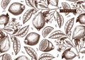 Hand drawn citrus fruits background. Vector lemons design with fruits, flowers, seeds, leaves sketches. Perfect for banners,