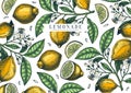 Hand drawn citrus fruits background. Vector lemons design with fruits, flowers, seeds, leaves sketches. Perfect for banners,