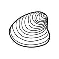 Hand-drawn clam shell of engraved line. Design element for invitations, greeting cards, posters, banners, flyers and more. Vector