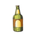 Hand Drawn Classic Color Bottle Of Beer Vector Royalty Free Stock Photo