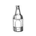 Hand Drawn Classic Glass Bottle Of Beer Vector