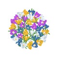 Hand drawn clorful crocus flowers round arrangement. Floral design element. Isolated on white background. Vector