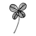 Hand-drawn Clover set. Black on white Royalty Free Stock Photo