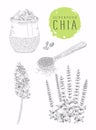 Hand drawn cocktail with chia and mango, plant and seeds. Superfood. Food illustration. Vegetarian