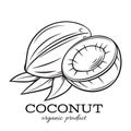Hand drawn coconut icon.