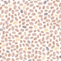 Hand drawn coffee beans pattern. Warm broun colors. Seamless vector.