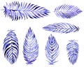 Hand drawn collection with blue palm leaves