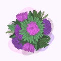 Hand drawn color bouquet of asters. Vintage flowers anfd leaves