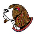 Hand drawn color Dog's face, Beagle's head with collar