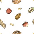 Hand drawn color vector seamless pattern of walnuts, hazelnuts, pistachios, peanuts. sketch. Vector eps 8.