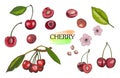 Hand drawn colored cherry set isolated on white background