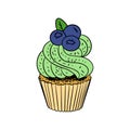 Hand drawn colored cupcake with blackberry