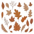 Hand drawn colorful autumn leaves collection set. Simple cartoon flat style. Vector illustration. Royalty Free Stock Photo