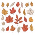 Hand drawn colorful autumn leaves collection set. Simple cartoon flat style. Vector illustration. Royalty Free Stock Photo