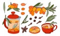 Hand drawn colorful branches, berries and leaves of sea buckthorn. Vector illustration. Image of a teapot, glass, brewed tea with