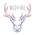 Hand drawn colorful deer and lettering