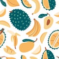 Hand drawn colorful doodle exotic tropic fruits Royalty Free Stock Photo