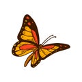 Hand drawn colorful orange Monarch butterfly. Vector illustration Royalty Free Stock Photo